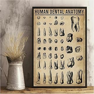 BYHGFDHJFZ Póster de anatomía Dental humana en lienzo, regalos de odontología, imágenes artísticas de pared Retro, impresión de decoración de clínica Dental-40x60cm sin marco