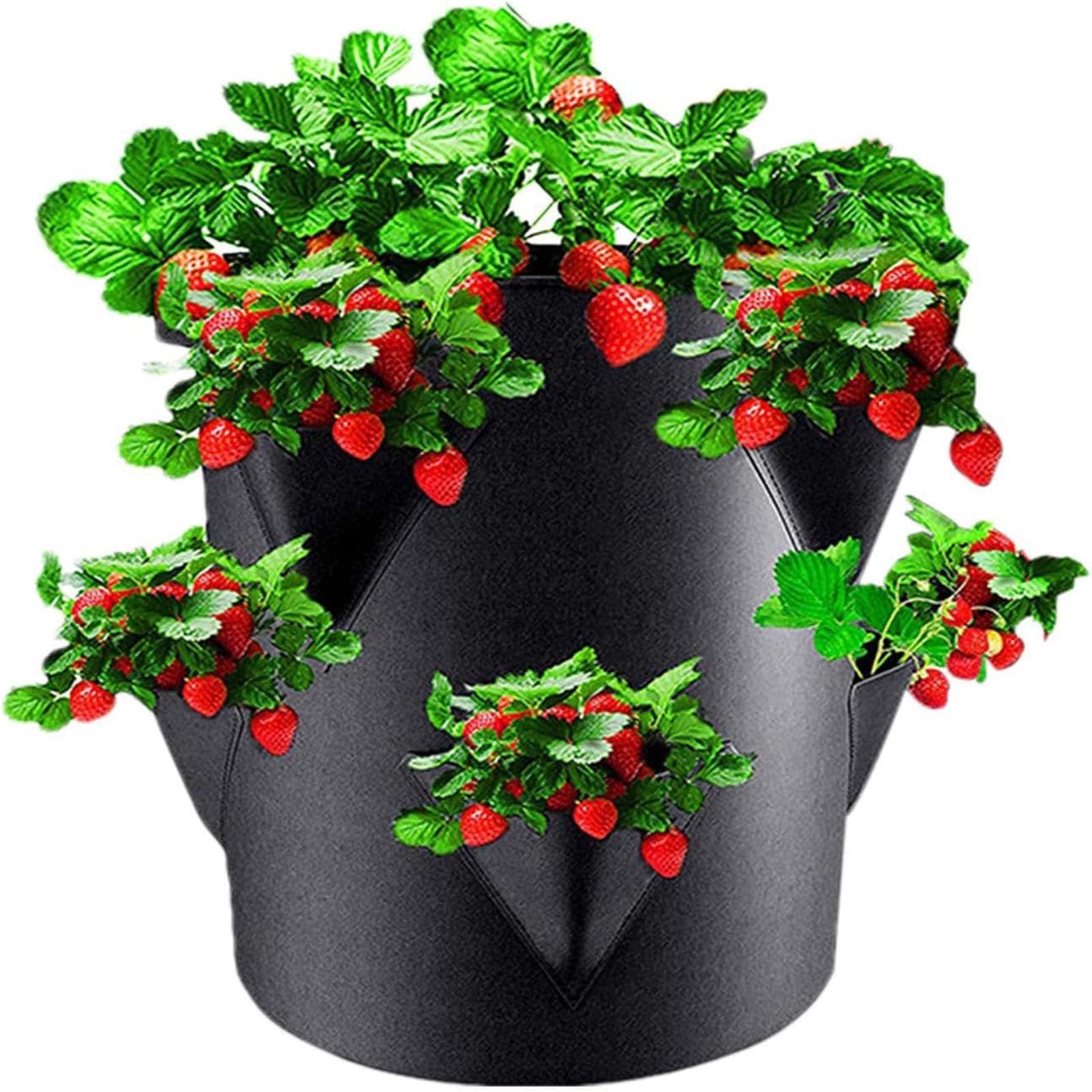 Ogrodowa sadzarka do truskawek, zagęszczone wiadro do sadzenia warzyw, owoce i kwiaty,Black,20 * 25cm