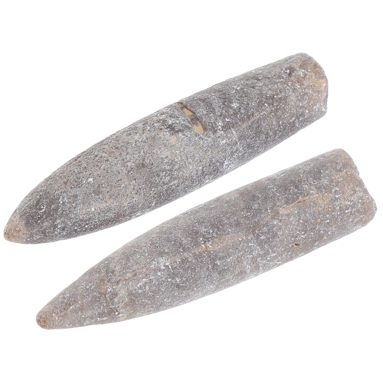 PRETYZOOM Natural Ichlenite Belemnite Specimen for Classroom Geology Paleontology Unique Decorative Piece