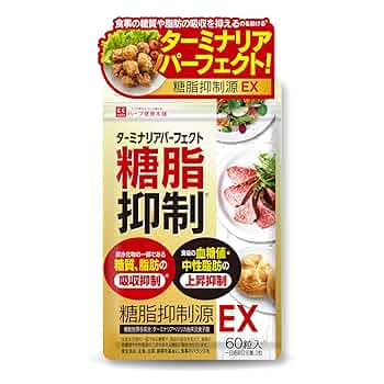 古口 様⭐️９袋⭐️未開封⭐カロバーンEX 糖脂抑制源EX ナイシボル 血糖値 ⭐️9袋⭐️未開封⭐カロバーンEX 糖脂抑制源EX ナイシボル