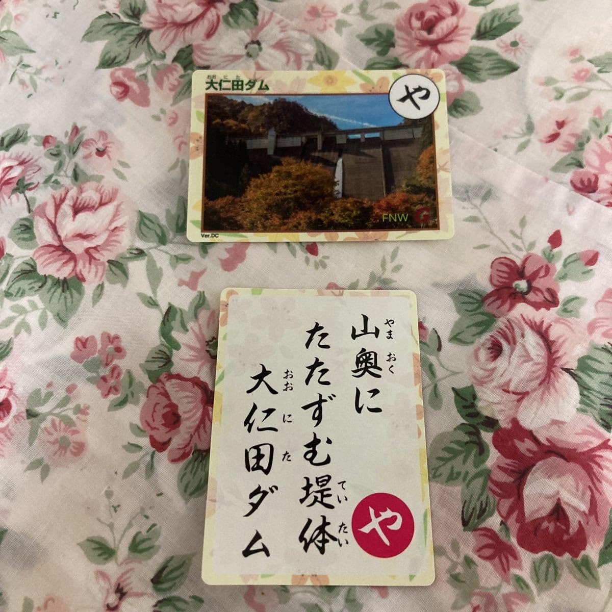 Amazon | ダムカード 群馬県大仁田ダムかるた2枚セット | かるた 