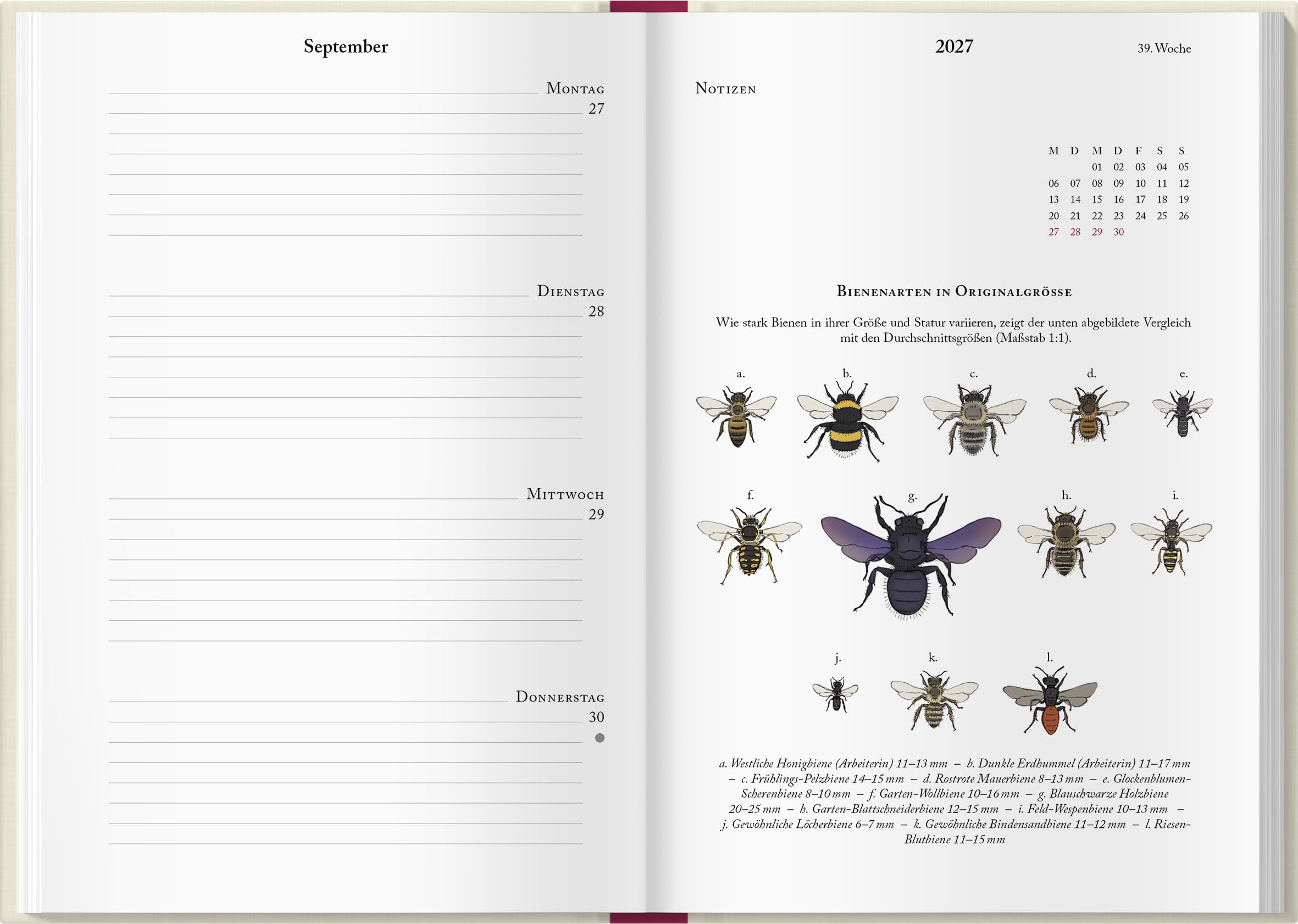 Bienenkalender 2027: Mit einer praktischen Wochenübersicht und bezaubernden Illustrationen. Für Bienen- und Naturliebhaber: Organisieren, beobachten & entdecken mit dem praktischen Taschenkalender.