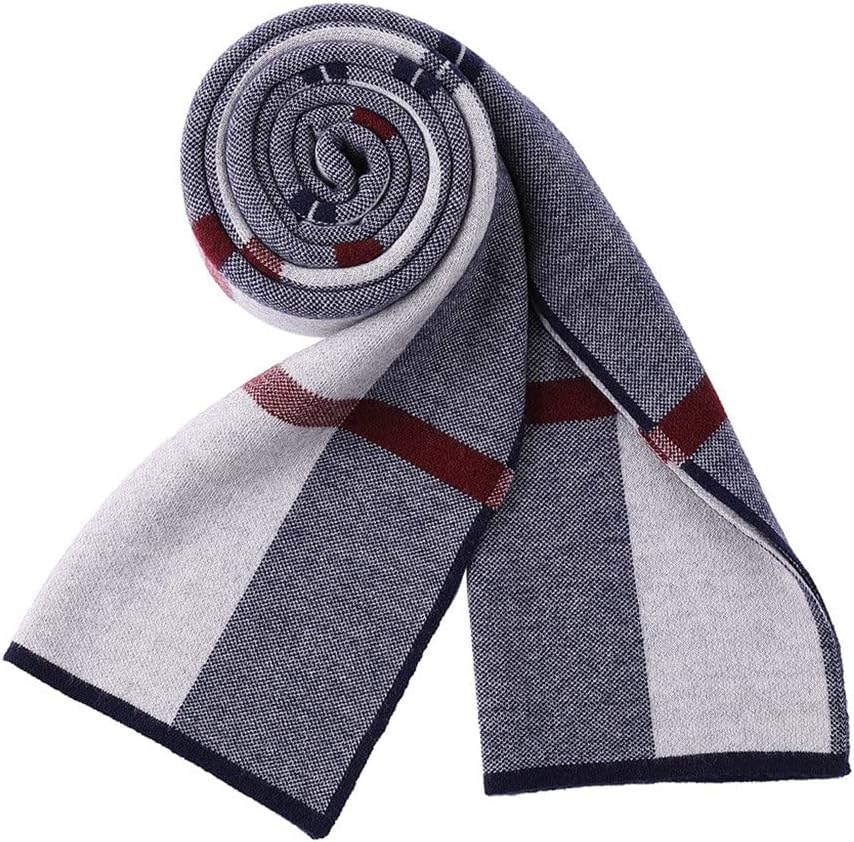 1pcs Fashionable Men's Scarves, Warm in Autumn and Winter, Korean Business All-Match(D)