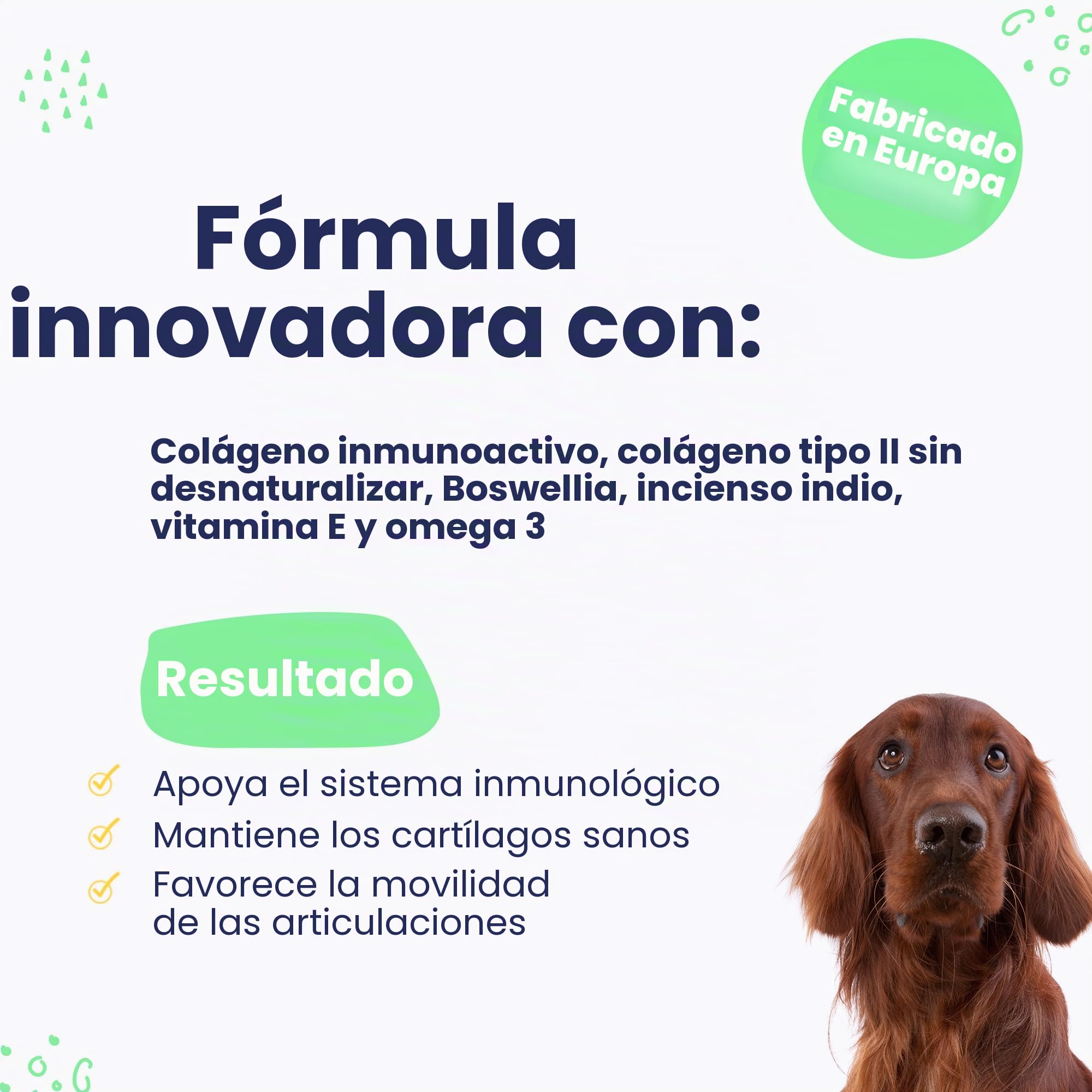 Flexadin Advanced Antioxidante para perros, 60 dosis