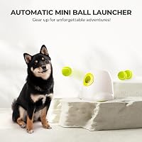 ALL FOR PAWS Automata Labdakilövő Kutyáknak - Interaktív Játékgép 3 db Teniszlabdával, Kis és Közepes Kutyafajtáknak, Hordozható

AI: ALL FO 7