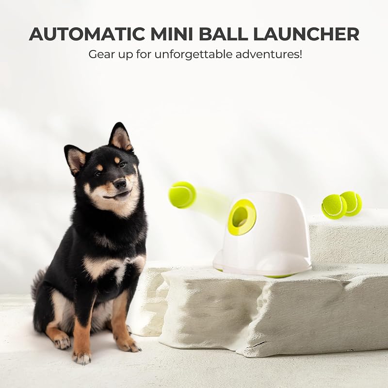 ALL FOR PAWS Automata Labdakilövő Kutyáknak - Interaktív Játékgép 3 db Teniszlabdával, Kis és Közepes Kutyafajtáknak, Hordozható
AI: ALL FO