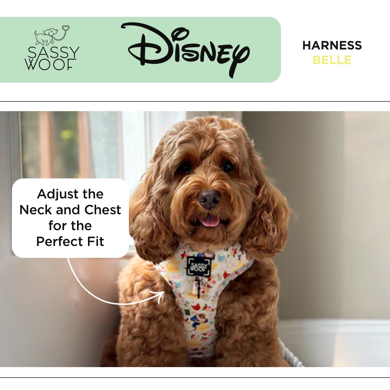 Sassy Woof Arnés ajustable para perro, Princesa de Disney Belle, XL