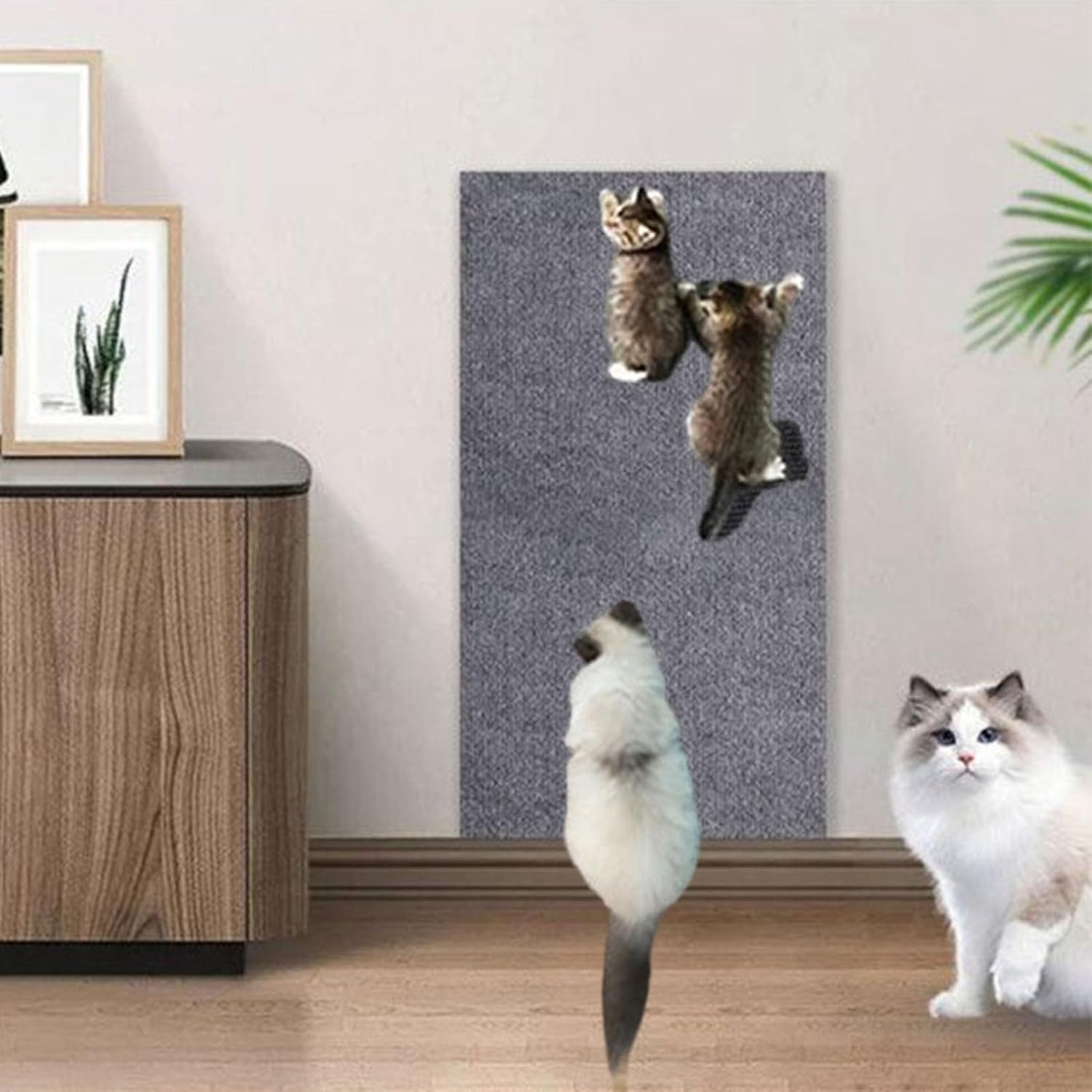 Climbing Cat Scratcher, DIY Climbing Cat Scratcher