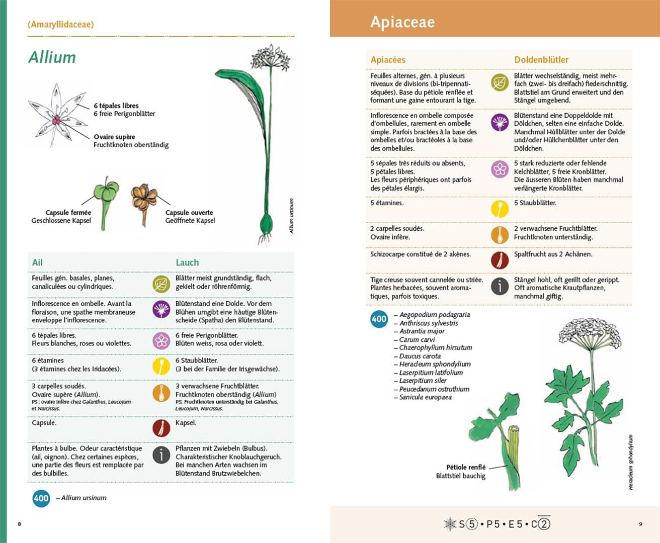 Carnet 400: Vorbereitung für das Botanik-Zertifikat "Iris" – Préparation au certificat botanique "Iris"