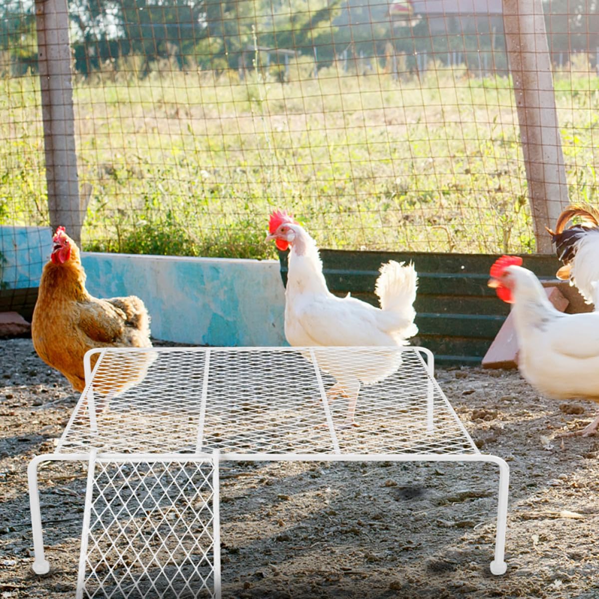 Hemobllo Scaffale da Fattoria per Polli in Ferro con Scala Piattaforma per Gabbie Piccola Bianca Supporto Arrampicata e Gioco per Galline e Piccoli Animali Domestici