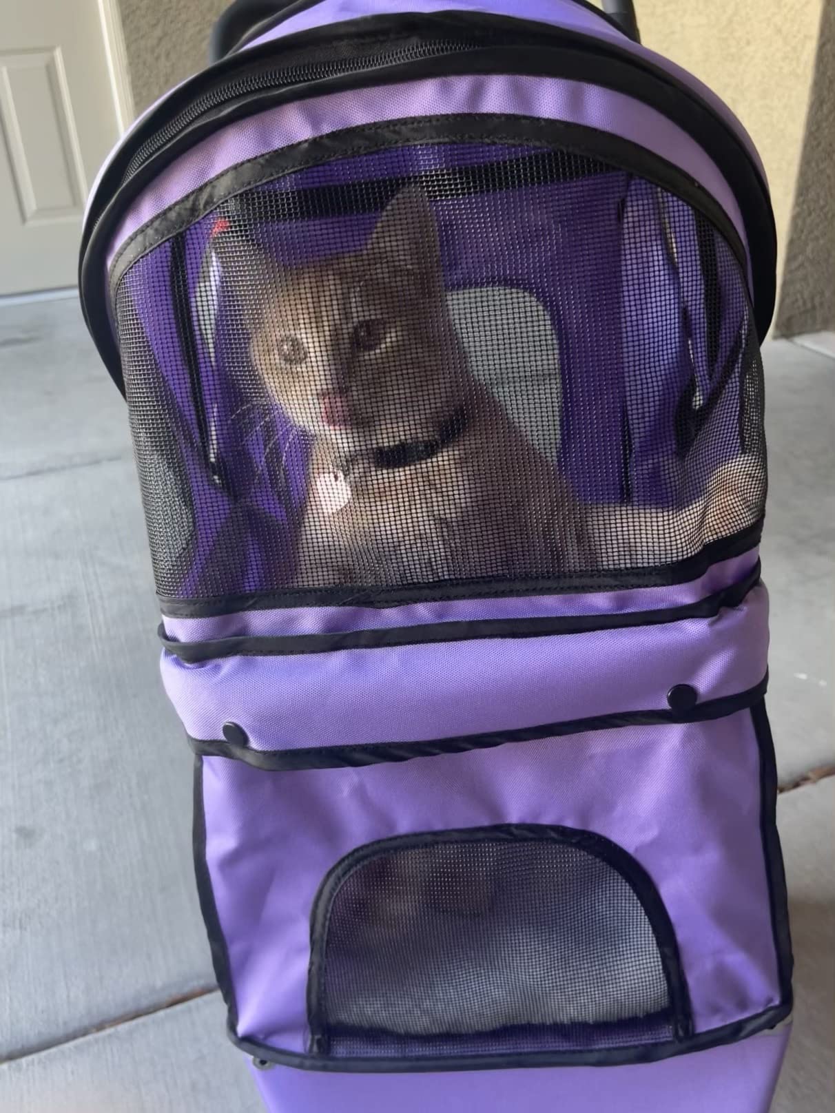 11/mo Finance BestPet Cat Dog Cage 3 Wheels Stroller Buy Now, Pay