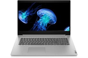 Lenovo IdeaPad 3 Laptop: 17.3" HD+ Screen, Exemplary Performance
