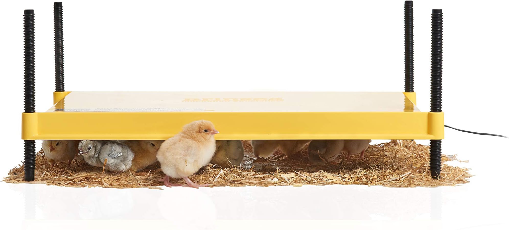 Brinsea EcoGlow Safety 2000