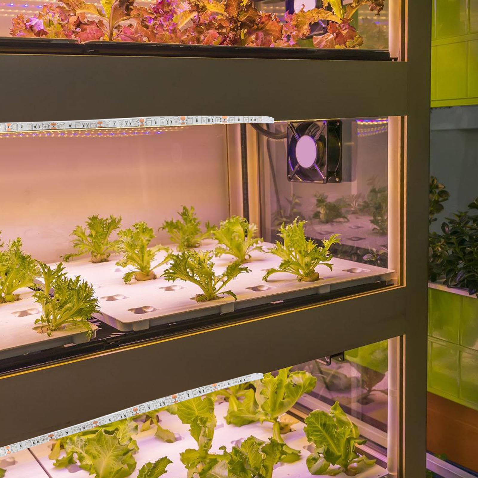 Bande Lumineuse LED de Croissance 5 Mètres Étanche Smd 5050 pour Plantes de Serrage Légumes et Fleurs Flexible Facile à Installer pour Semis