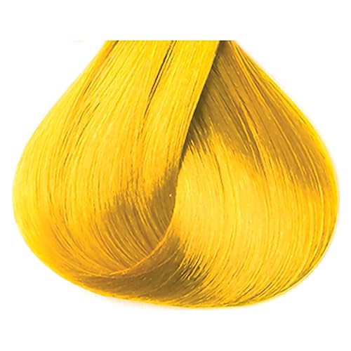 Vista 164 de Kiss Tintation Tratamiento de color semi-permanente para el cabello, 5.0 US fl oz (148 ml), rojo oscuro (Red Velvet)