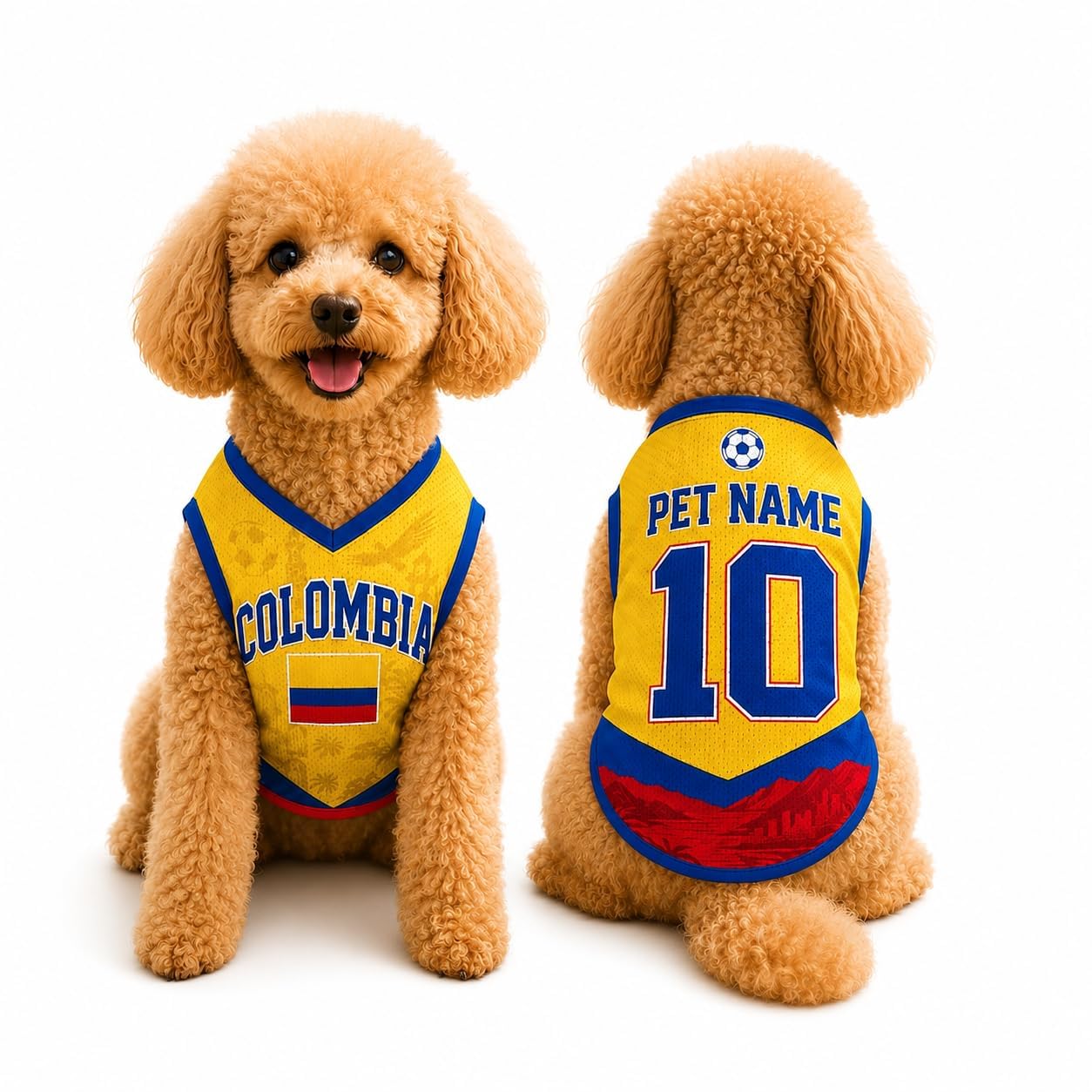 Custom Dog Football Jersey with Name Number Logo, Personalised 2026 Pet Jersey, Breathable Quick Dry T-Shirt for Small Medium Large Dogs, Gift for Fans