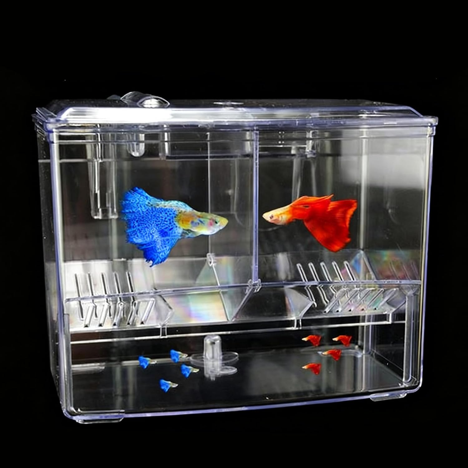 External Aquarium Breeder Box for Fishtank Breeding Incubator Hatchery Spawning Box Separation Tanks Hatchery Container