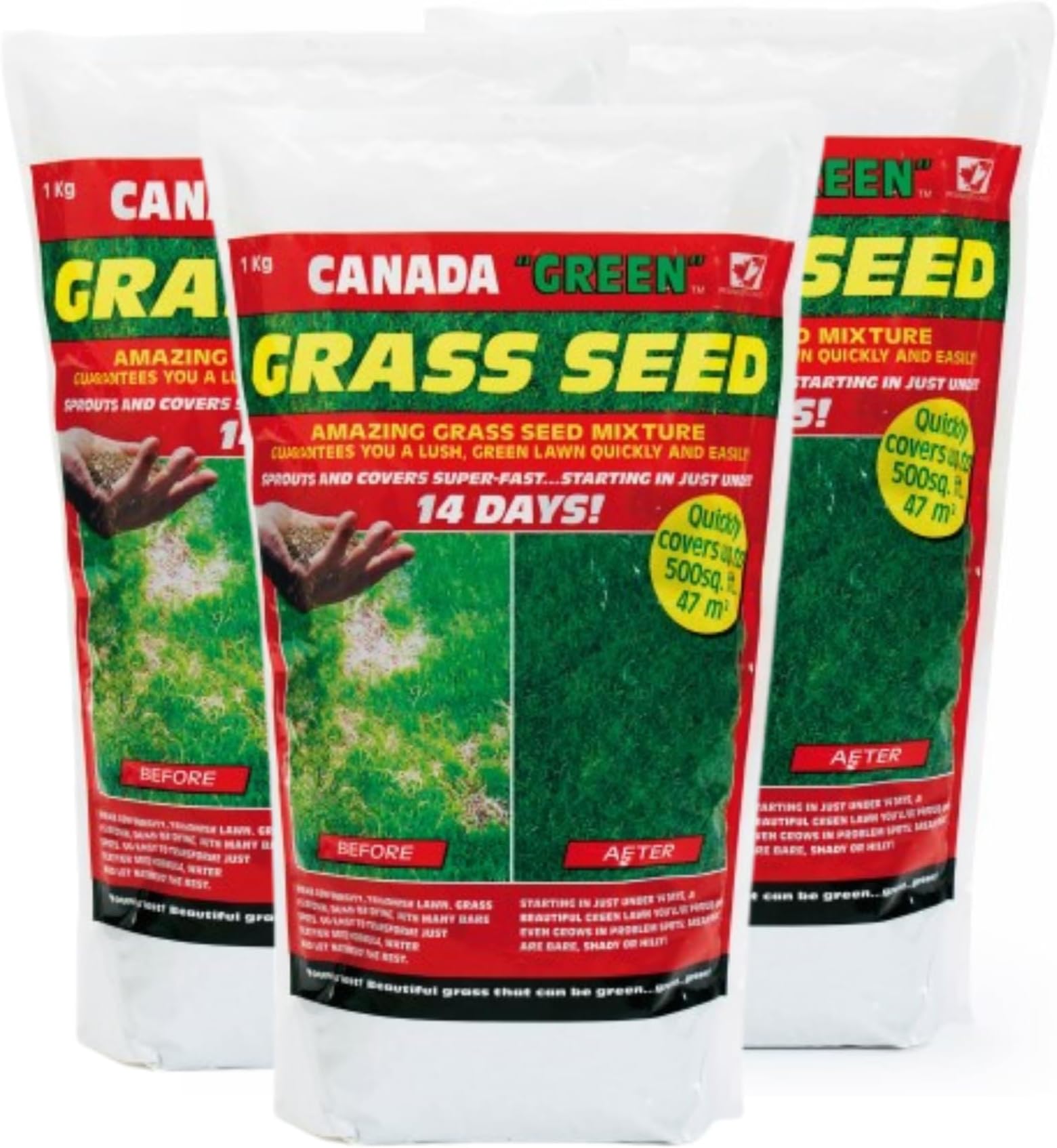 36043 Grass Seed