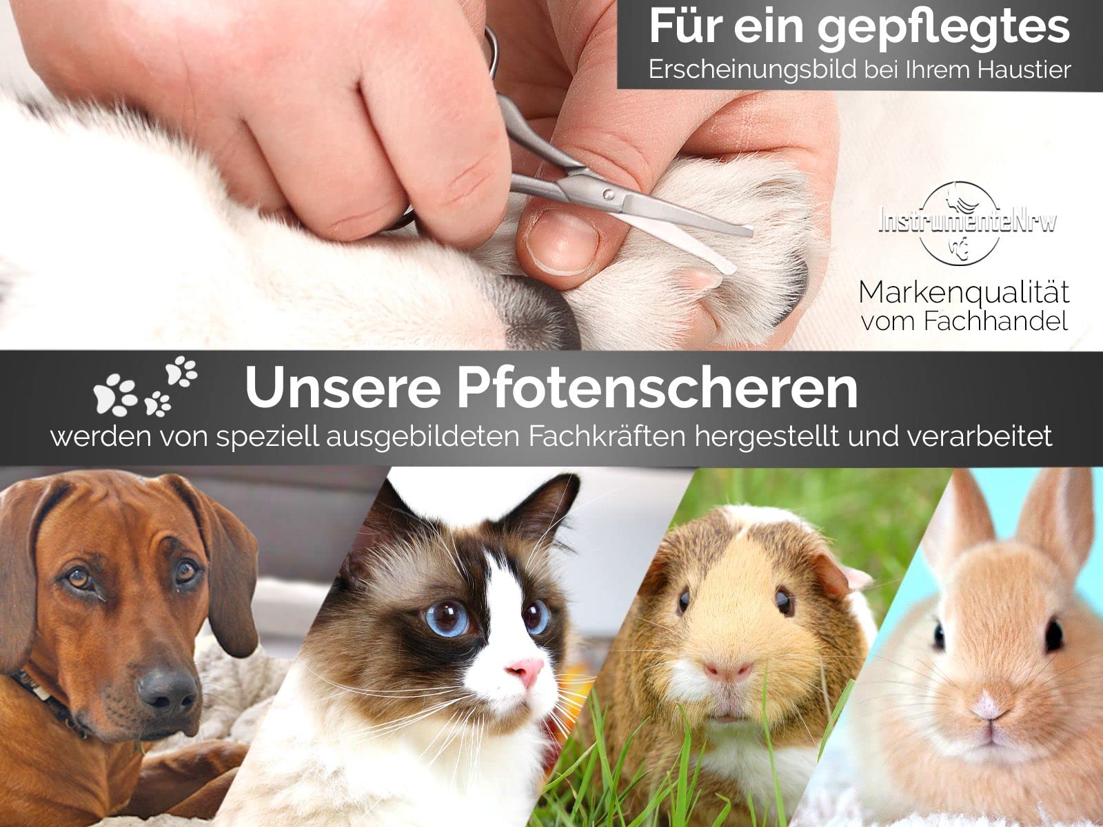 Fellschere Pfotenschere aus Solingen Kleine Hundeschere mit einseitiger Mikroverzahnung Hunde Haarschere aus Rostfreiem Edelstahl mit Scharfer Abgerundeter Schnittfläche für eine perfekte Fellpflege