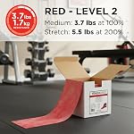 TheraBand Professional Non-Latex Resistance Bands, Portable Equipment For Upper and Lower Body Exercise Workouts, Physical Therapy, Lower Pilates, Toning Exercises, & Rehab, 25 Yard Roll Dispenser Box