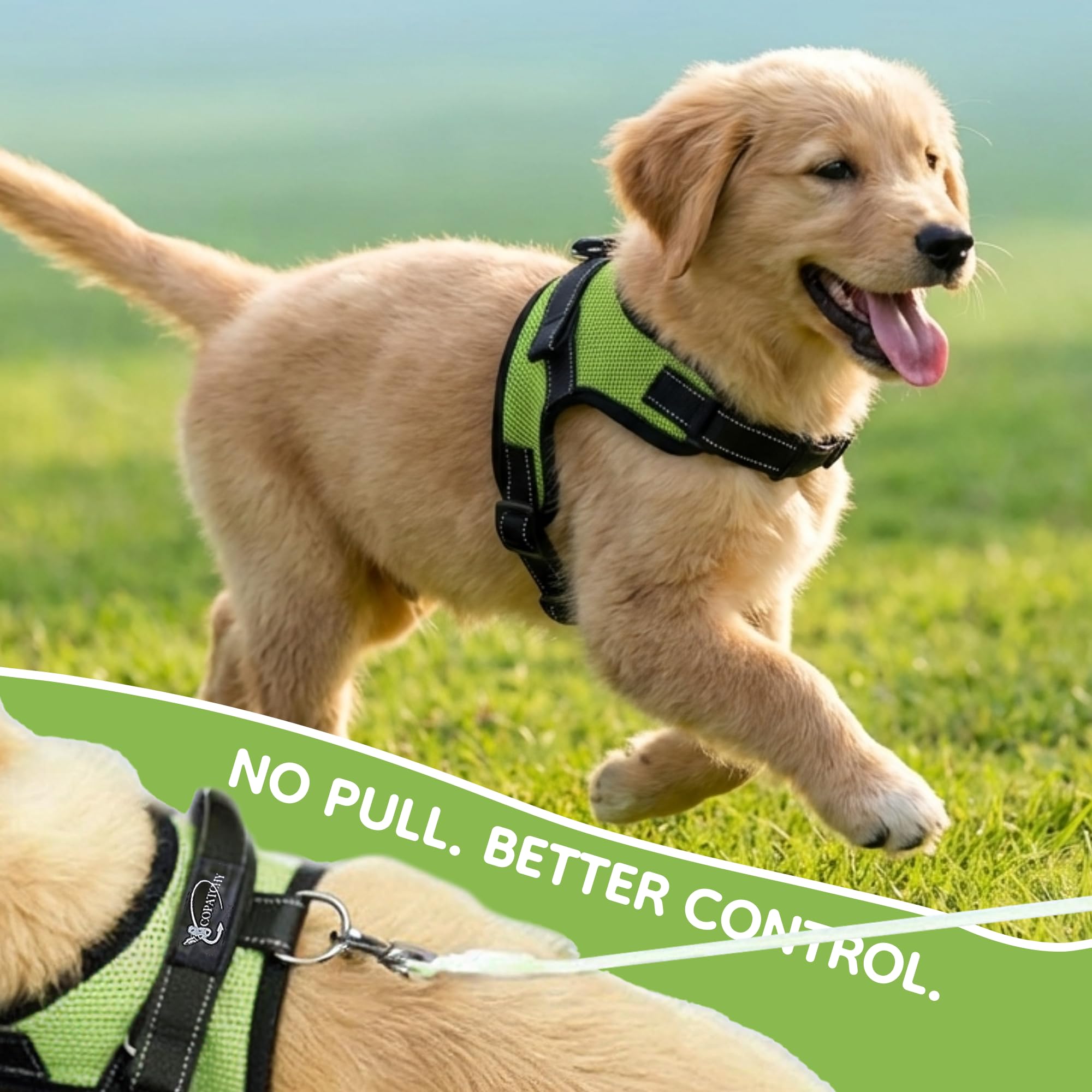Arnés Reflectante Ajustable para Perro con asa, Malla cómoda y Suave para Todo Tipo de Clima, fácil de Poner para Perros pequeños, medianos y Grandes (Verde), Talla S