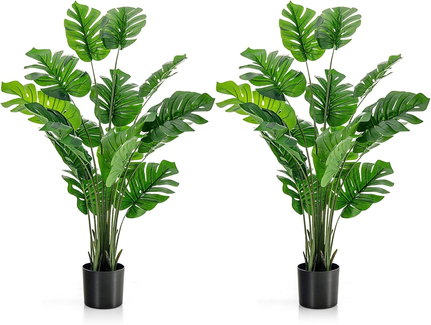 モンステラ 吊り下げ お洒落 ハンキング ヒメモンステラ 観葉植物の