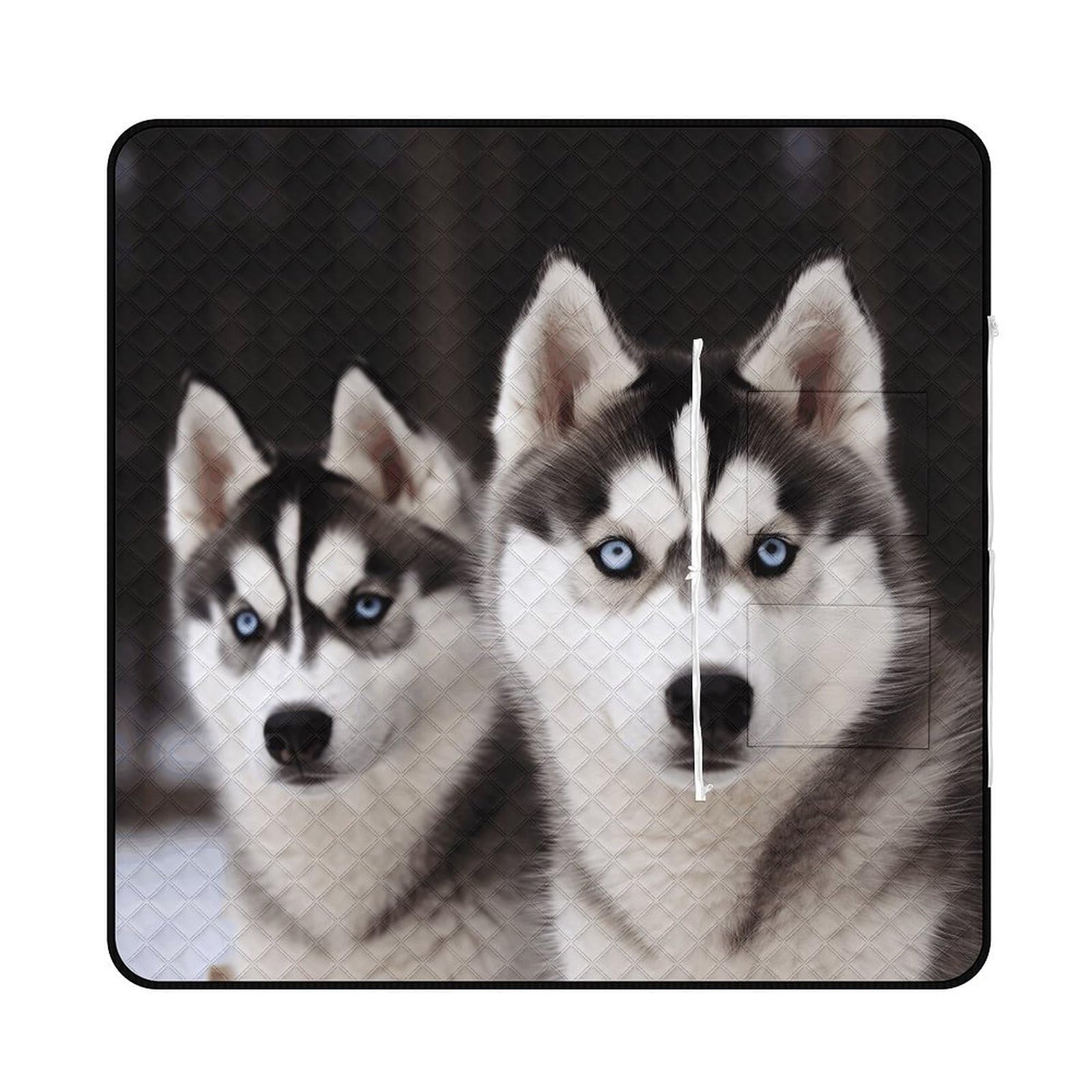 Tapis de pique-nique portable husky pliable pour plage et intérieur