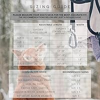 Vista 11 de MADE TO ROAM - Collar para perro de alta calidad, collar ajustable de nailon resistente con hebilla metálica de liberación rápida