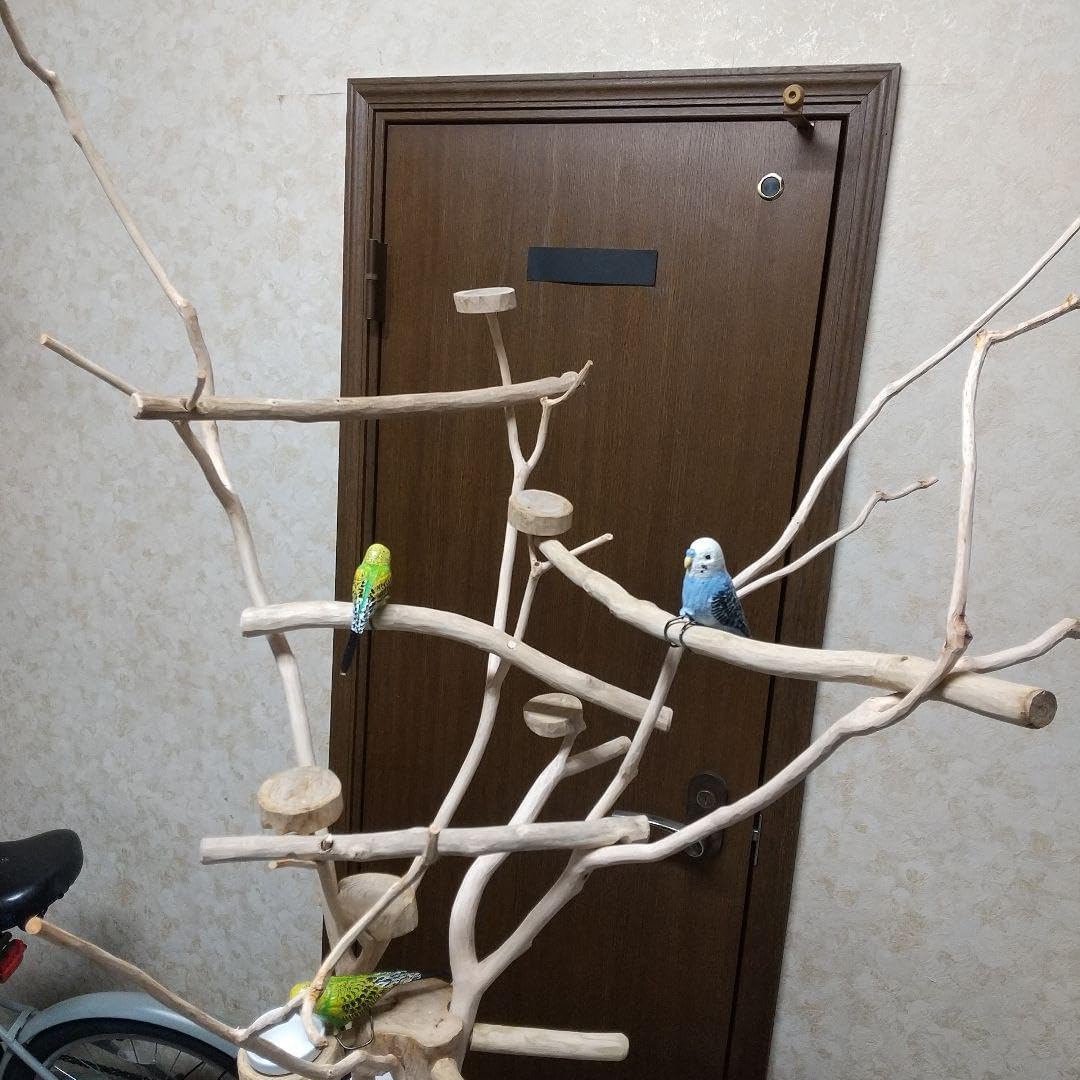 フィンチ用 梅と桜のフィンチTree バードスタンド フィンチ用】梅と