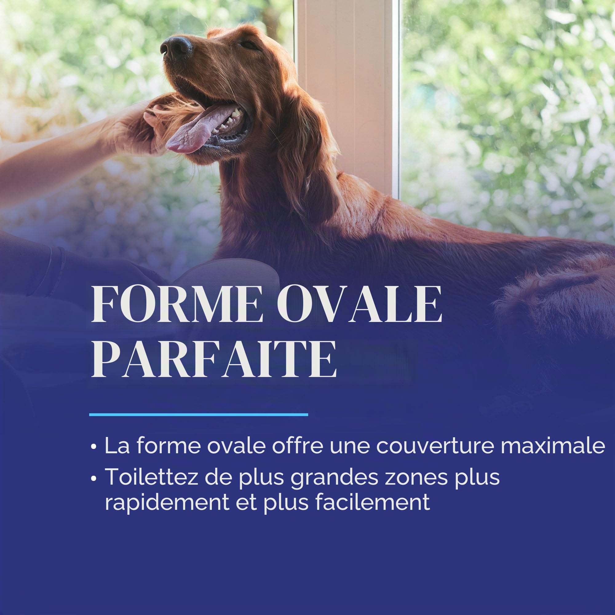 Chris Christensen Brosse pour chien ovale de 27 mm - Série originale - Groom Like a Professional - Broches en acier inoxydable - Corps en bois de hêtre léger - Pointes polies et polies