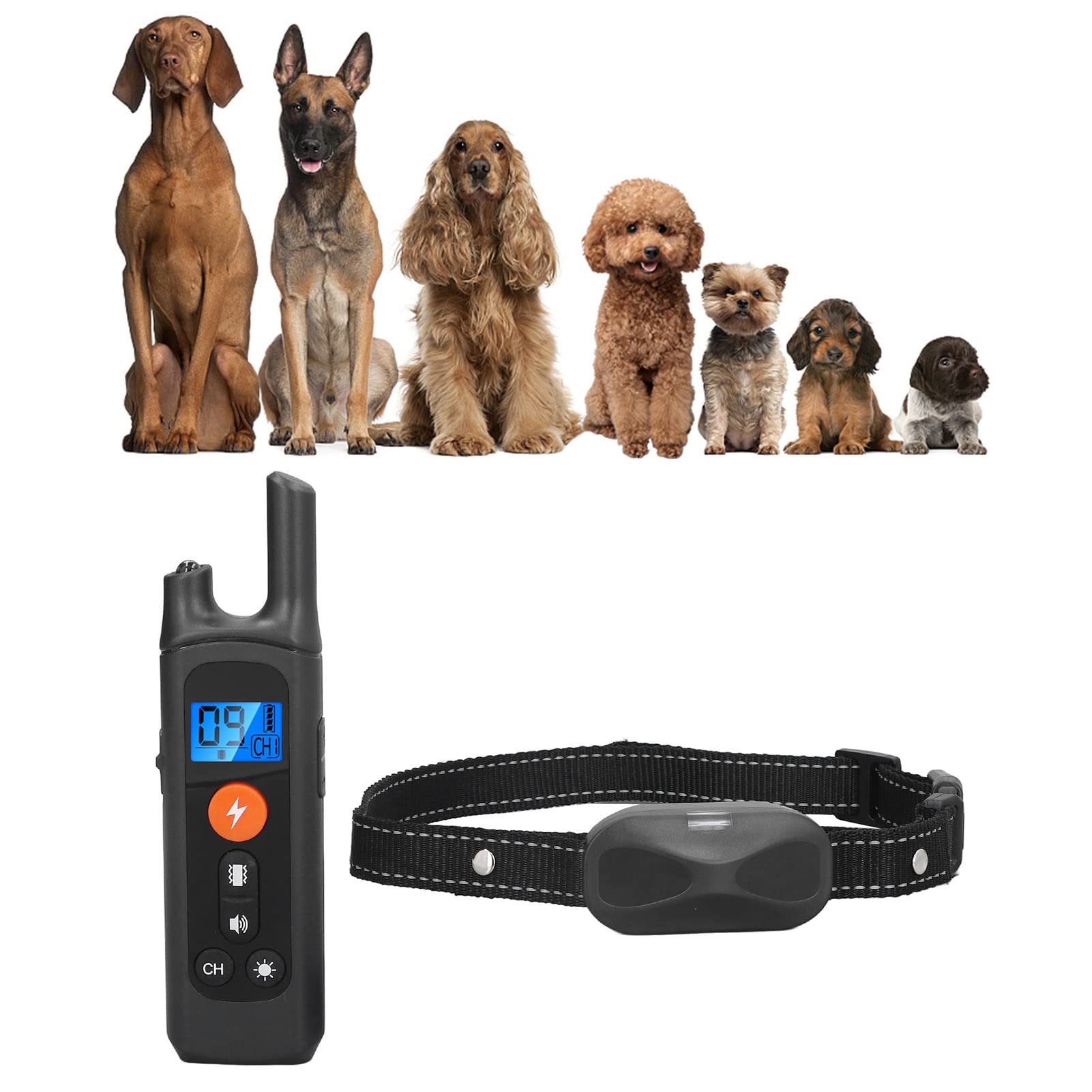 is-it-cruel-to-put-a-shock-collar-on-a-dog-invirox-43-off
