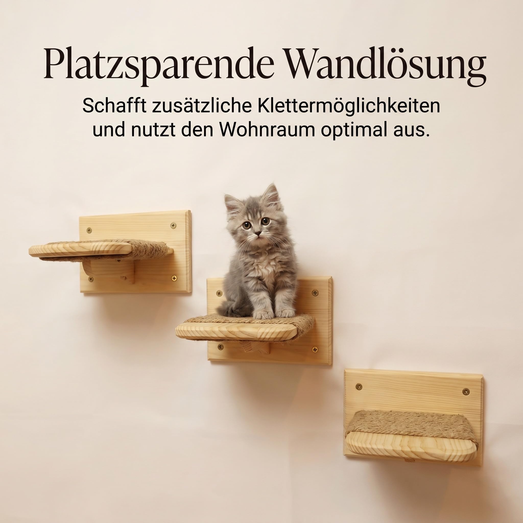 Katzen Wandtreppe aus Massivholz – 3er Set Kletterstufen für Katzen mit Juteseil – Katze Wandmöbel aus Kiefernholz – einfache & schnelle Montage – Kletterhilfe & Katzenwand