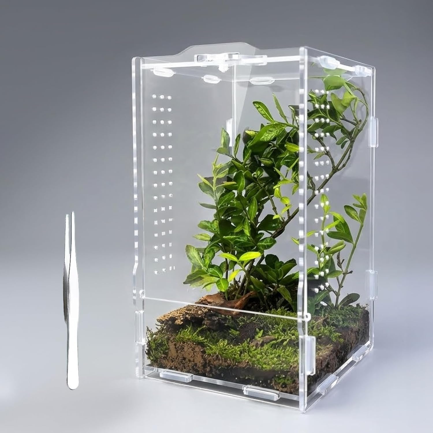 Acrylic Jumping Spider Enclosure: Tarantula Enclosure with Door Lock for Gecko Praying Mantis Snail - Front Opening Arboreal Reptile Terrarium Dual-Side Ventilation Bug Habitat for Desk Decor