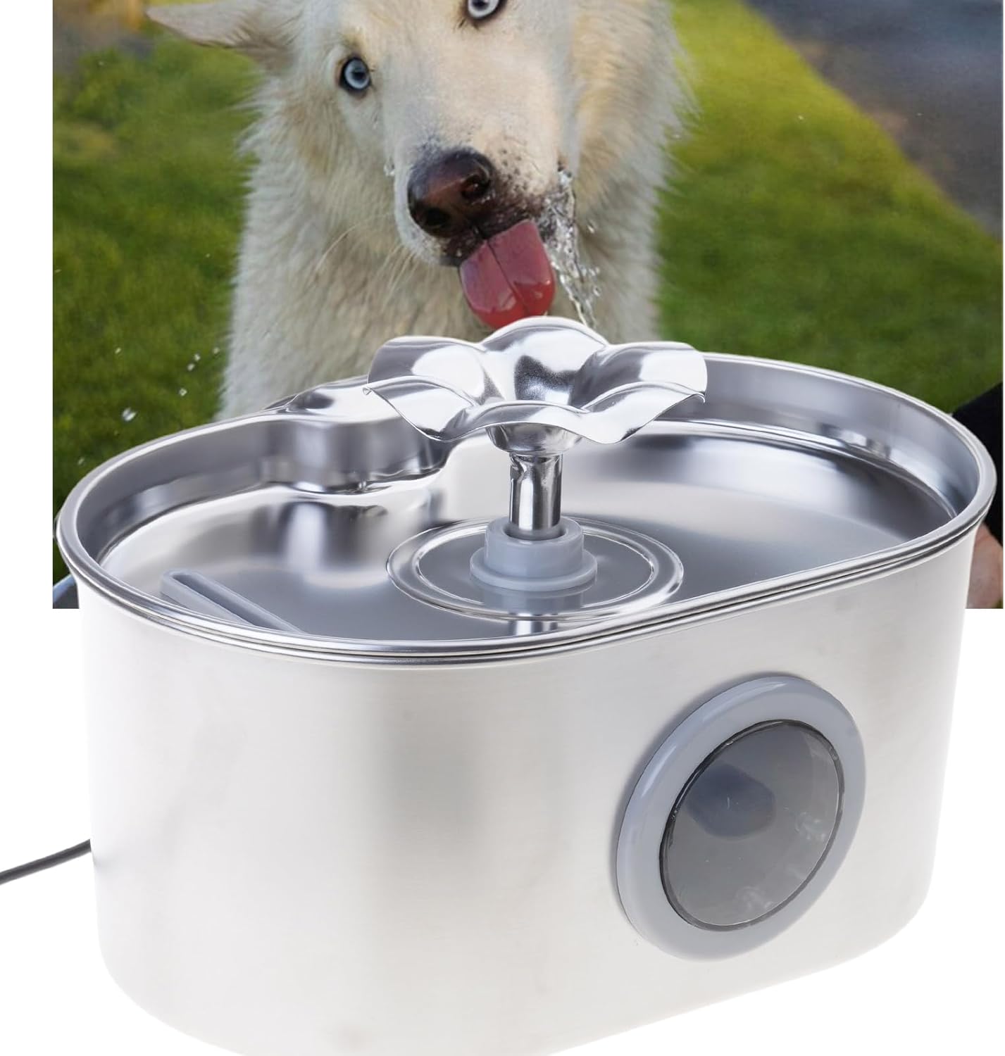 Automatic Cats Drinking Fountain Quiet Dog Waterer Bowl Stainless Steel Water Dispenser 2.6L Water Filtering Dispenser Dog Water Fountain