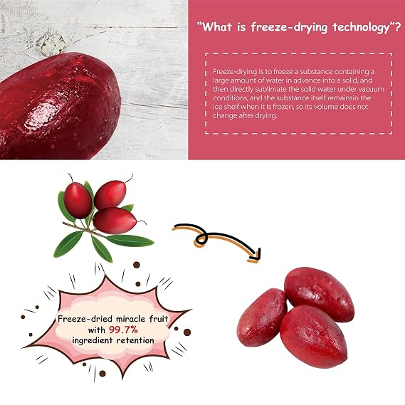 Ohh! Berry Miracle Berry [all 6 of them],Miracle Berries are 100% Natural & Freeze-Dried Friut Snacks to Turn Sour To Sweet and Reduce Sugar Use For Better Health Forever,No Preservatives