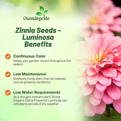 Vista 3 de Outsidepride - Zinnia Elegans, 1000 semillas anuales, Dahlia Pink Luminosa, flores para plantar, color rosado