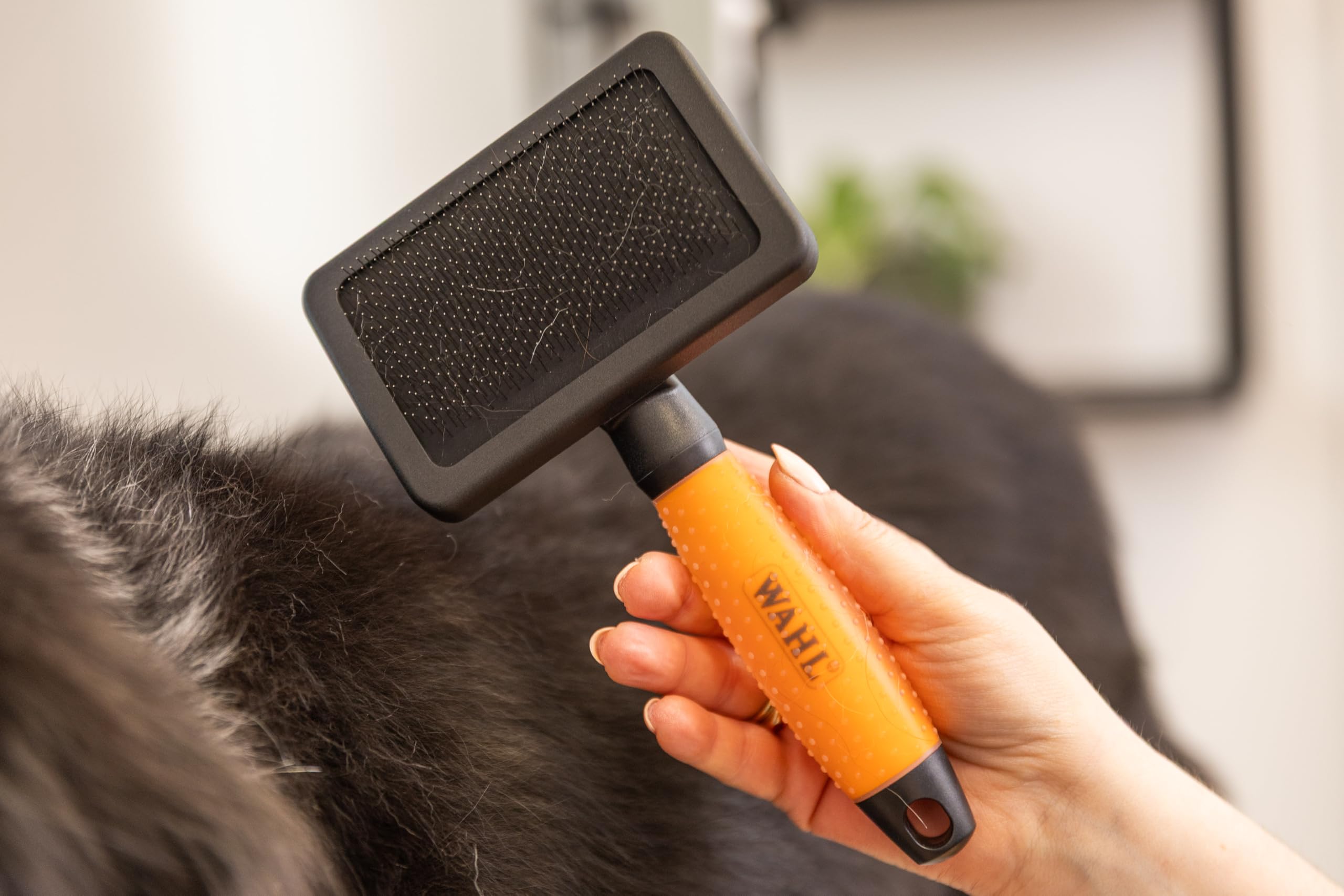 WAHL Multi Cut - silencioso, con cable, para uso doméstico, con cuchillas afiladas con precisión + WAHL Slicker Brush Medium - cepillos alisadores para animales de pelo largo y corto