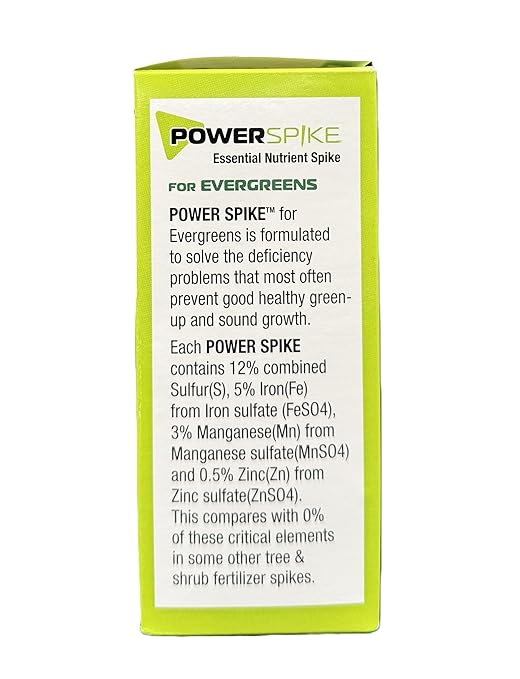 Power Spike para Evergreens, Fertilizante en Espiga con Hierro, 10 Unidades miniatura 7
