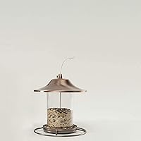 Vista 5 de Wagner's 62004 Eastern Regional - Alimento para aves silvestres, bolsa de 20 libras