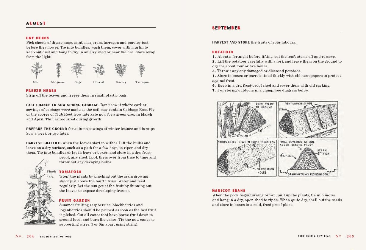 The Ministry of Food: Thrifty Wartime Ways to Feed Your Family Today