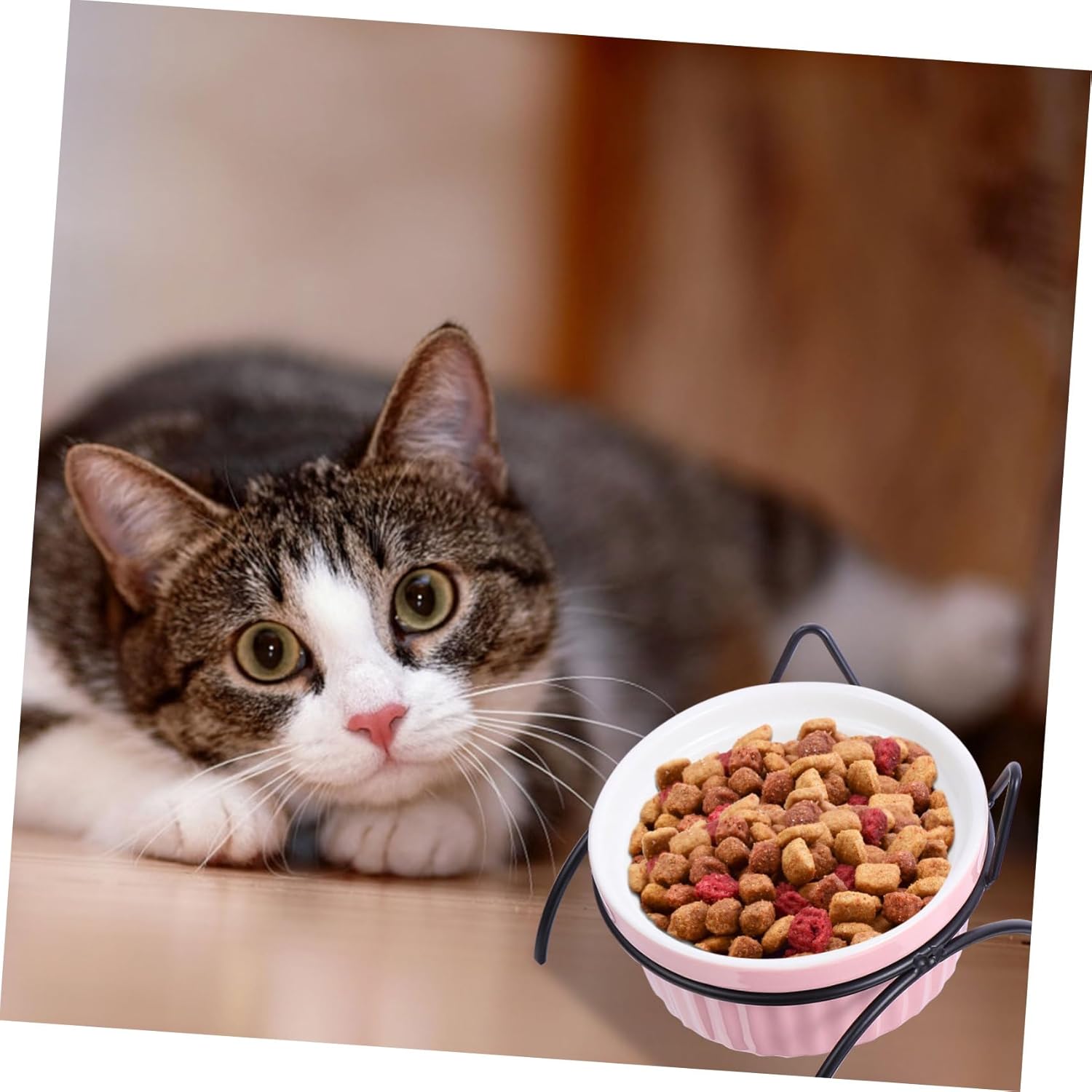 balacoo 2sets Elevated Ceramic Cat Bowl Set Pet Food Dish Iron Stand - Design for Comfortable Feeding for Indoor Cats