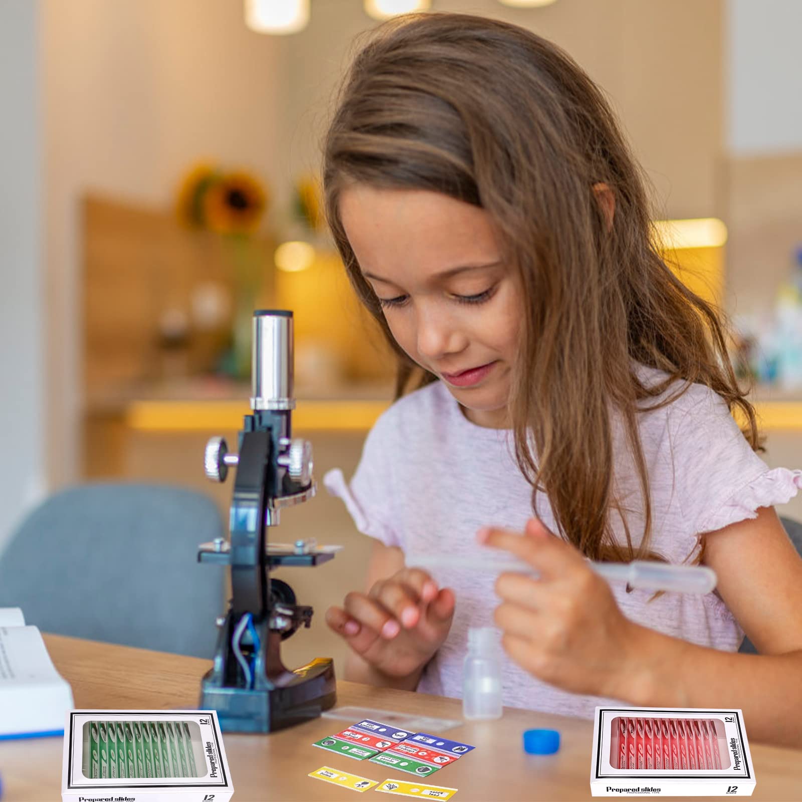 Objectglaasjes Microscoop - Kamera Express