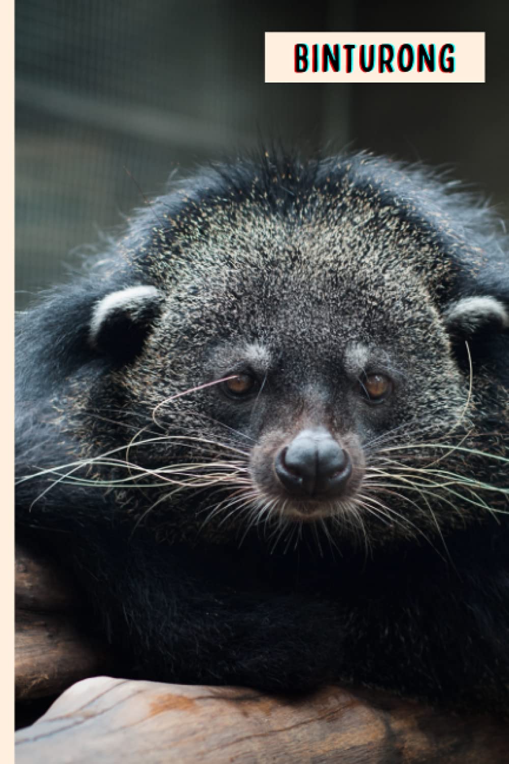 Binturong: Composition Notebook For Binturong Lovers , Binturong Lined Journal ,6x9 Inches , 110 Pages ,Binturong Diary