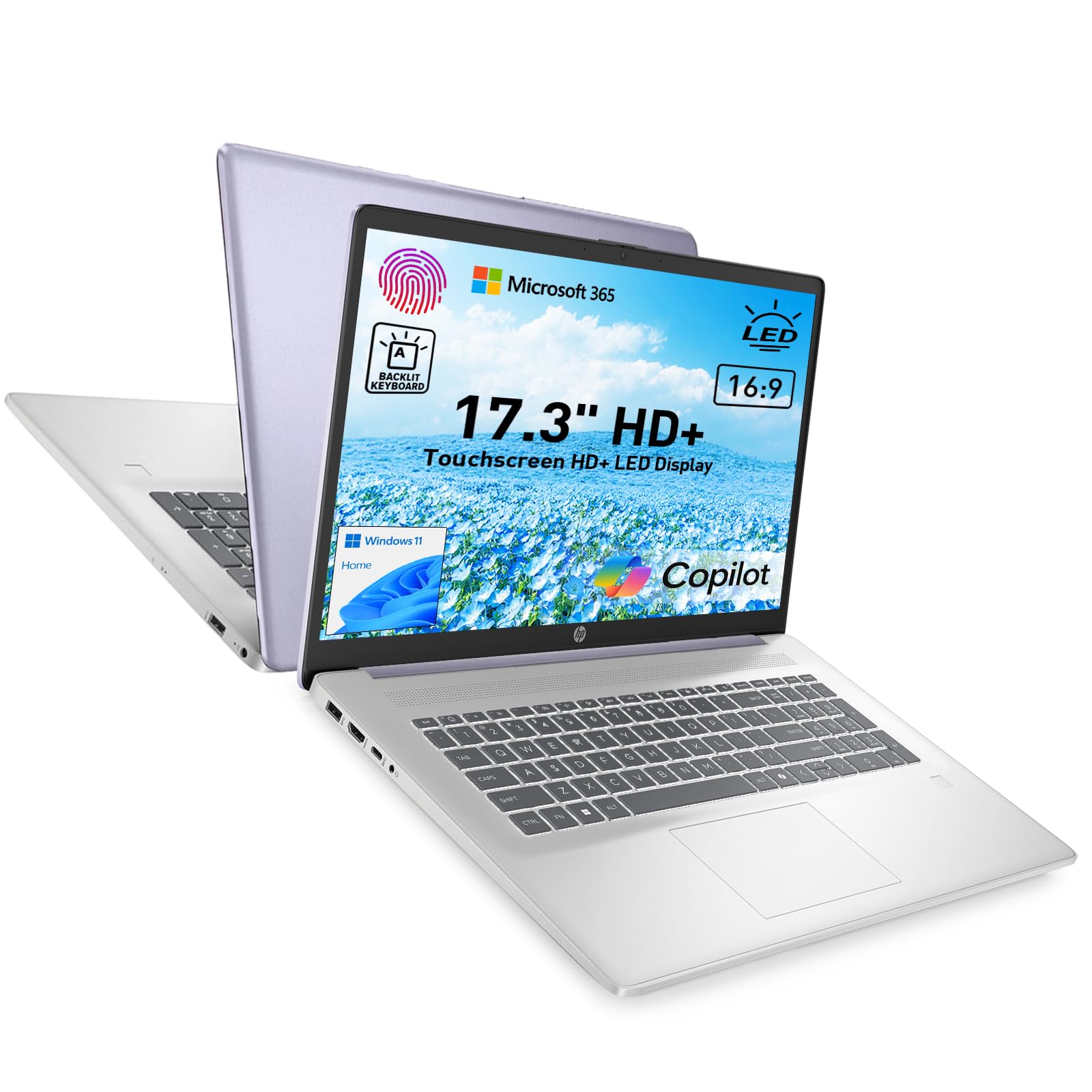 Amazon.com: HP 17.3