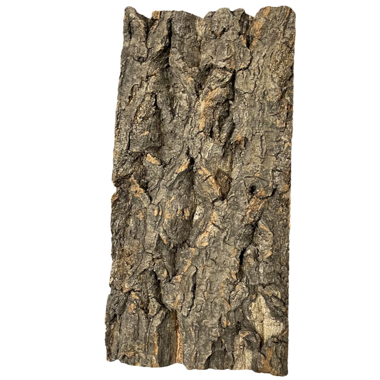 INOOMP 10piezas Fondo De Acuario Natural De Corteza Diseño Simulado para Decoración De Peceras y Terrarios Resistente y Reutilizable