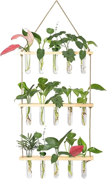 XXXFLOWER Wall Hanging Propagation Station with Wooden Stand Glass Test Tubes Tiered Planters Wall Terrarium for Home Of
