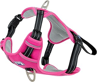 Ancol Viva - Arnés para Perro de Ejercicio y Viaje en Color Rosa, cómodo Accesorio para Mascotas con Pecho Acolchado y 2 Clips para Correa, Grande 60-85 cm