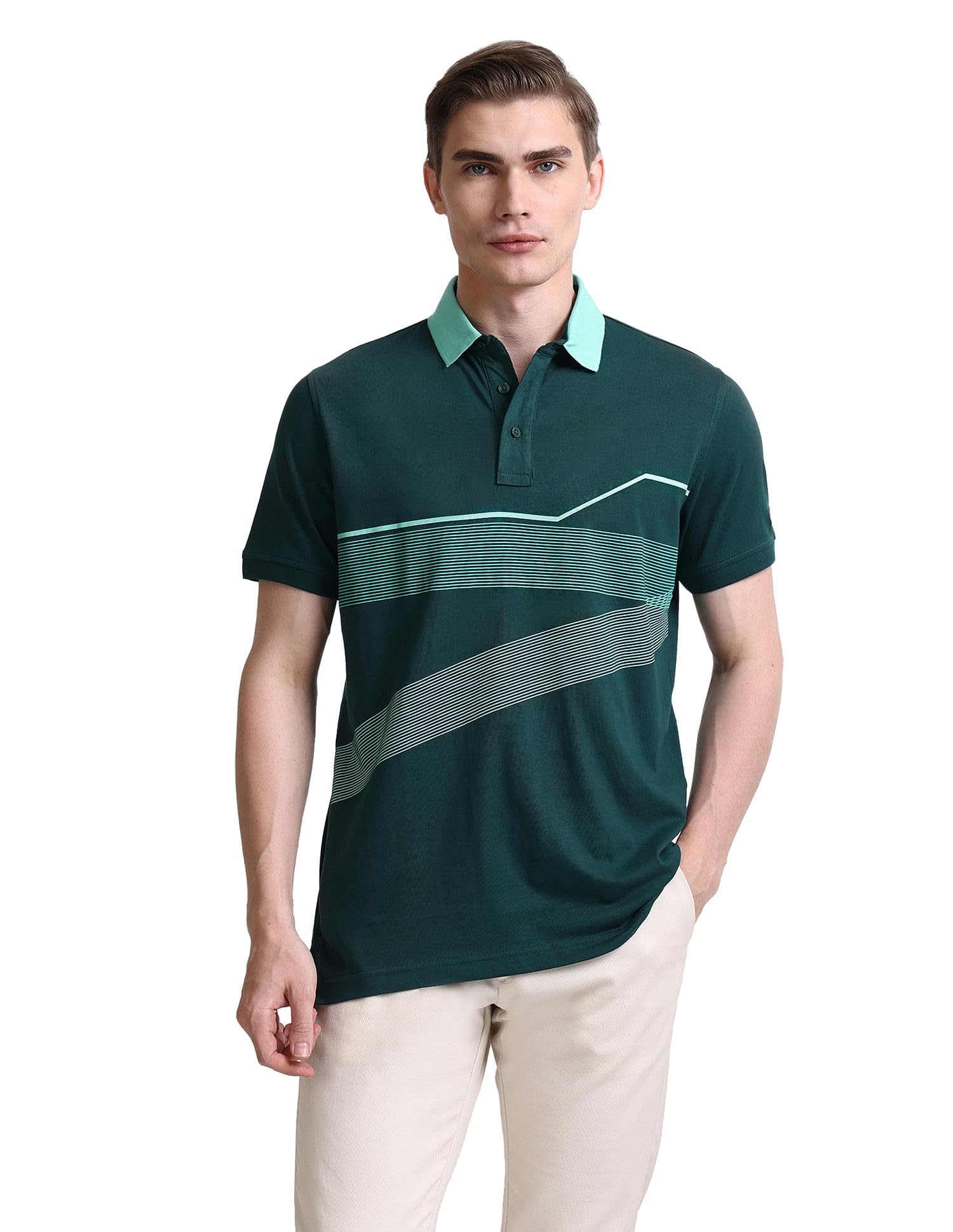 arrow Men's Cotton Striped Regular Fit Polo Shirt-picture-16
