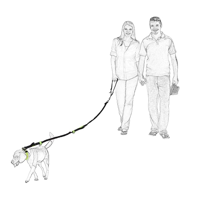Foto 7 de 7 de Mile High Life Manos Libres retráctiles para Perros Leash Bungees Negros Dobles Reflectantes (213CM, Naranja)