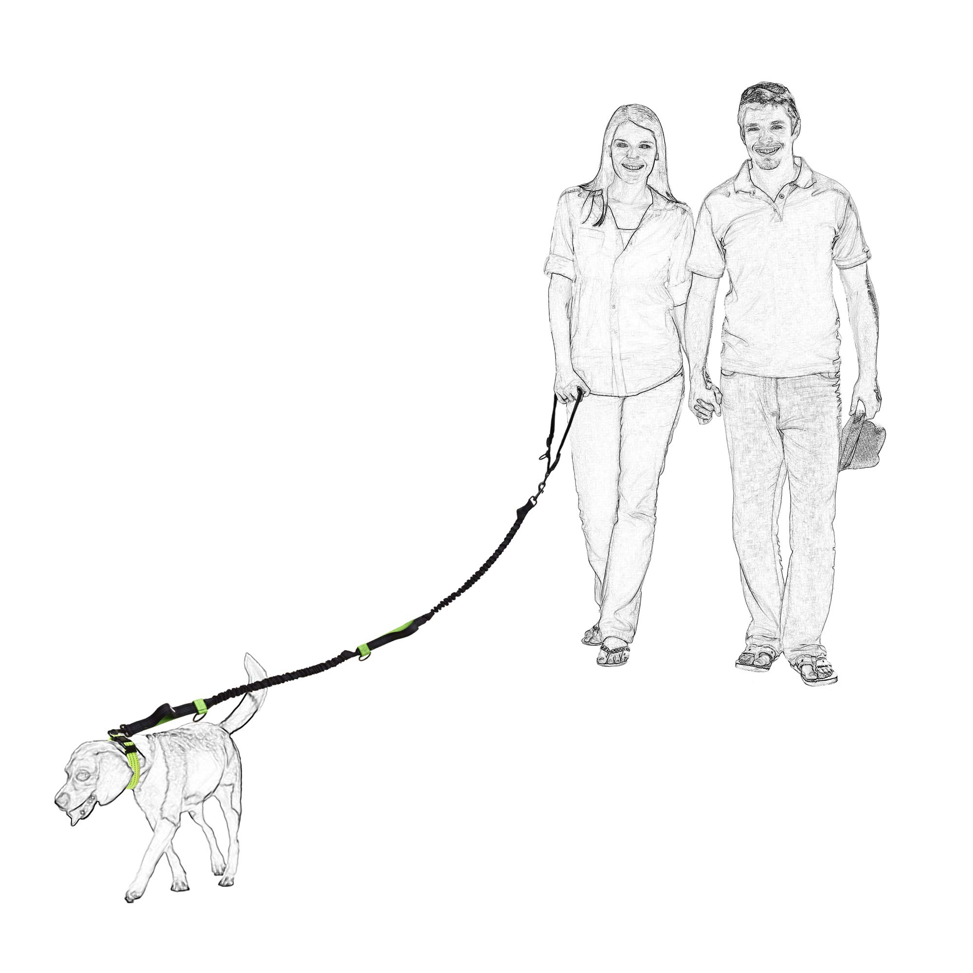 Mile High Life | Laisse Rétractable Mains Libres 2m pour Chien 50 Kg | Réfléchissante | pour Petit, Moyen Et Grand Chien | (Marrone)